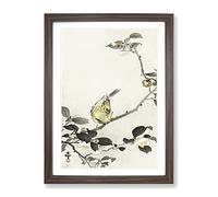 Bunting Bird On A Blossom Branch By Ohara Koson Framed Print A2 Walnut