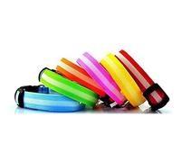 Bunty Adjustable LED Flashing Light Safety Luminous Dog Puppy Pet Glowing Collar - Green - Large