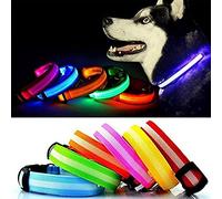 Bunty Adjustable LED Flashing Light Safety Luminous Dog Puppy Pet Glowing Collar - Orange - Medium