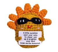 BUNYISCN Funny Emotional Sunshine Support Gifts,Thank You Appreciation Gifts for Women Get Well Gifts,Back to School,Inspirational Christmas Employee Nurse Doctor Retirement Gifts Sunshine Decor