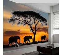 Buohwiwe Mural Wallpaper African Wildlife, 3D Panoramic Photo Wallpaper African Animals Non-Woven Murals 400x280 cm Art Print Wall Mural Bedrooms Living Room Modern Design Poster Picture q.4566