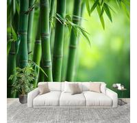 Buohwiwe Mural Wallpaper Bamboo, 3D Effect Panoramic Photo Wallpaper Bamboo Non-Woven Murals 400x280 cm Art Print Wall Poster Mural Bedrooms Living Room Modern Decoration w.4546