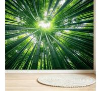 Buohwiwe Mural Wallpaper Bamboo Pattern 3D Effect Panoramic Photo Wallpaper | Woods Scenery Non-Woven Murals 300x210 cm Art Wall Poster Mural Bedrooms Living Room Modern Decoration