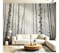 Buohwiwe Mural Wallpaper Birch Tree, 3D Effect Panoramic Photo Wallpaper Woods Landscape Non-Woven Murals 430x300 cm Art Print Wall Poster Mural Bedrooms Living Room Modern Decoration M.2225
