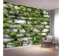 Buohwiwe Mural Wallpaper Moss On The Wall, 3D Panoramic Photo Wallpaper Moss Non-Woven Murals 150x105 cm Art Print Wall Mural Bedrooms Living Room Modern Design Poster Picture q.3904
