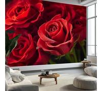 Buohwiwe Mural Wallpaper Roses, 3D Effect Panoramic Photo Wallpaper Romantic Rose Non-Woven Murals 150x105 cm Art Print Wall Poster Mural Bedrooms Living Room Modern Decoration w.6134