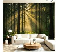 Buohwiwe Mural Wallpaper Woods, 3D Effect Panoramic Photo Wallpaper Natural Landscape Jungle Scenery Non-Woven Murals 150x105 cm Art Print Wall Poster Mural Bedrooms Living Room Modern Decoration