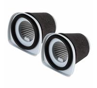 Buosha Vacuum Cleaner Filter 17×10×9cm, 2 Pack, Foam, Fits Handheld Vacuum ZL601R/ZL601A, Goblin Vacuum Cleaner Filter