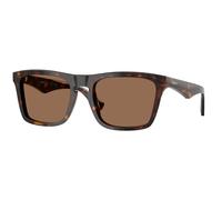Burberry BE4434 300273 Man Sunglasses Acetate Brown Brown Squared Normal