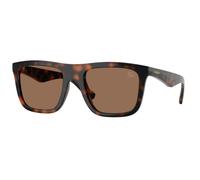 Burberry BE4458U 300273 Man Sunglasses Injected Brown Brown Squared Normal