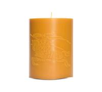 Burberry Botanic Garden candle - Yellow One Size