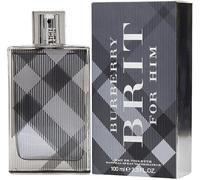 Burberry Brit for Him eau de toilette for men 100 ml
