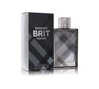 Burberry Brit for Him eau de toilette for men 100 ml
