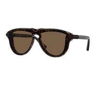 Burberry Man BE4427 300273 Sunglasses Acetate Brown Brown Pilot Normal