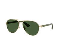 Burberry Man Sunglass BE3167 - Frame color: Light Gold, Lens color: Dark Green