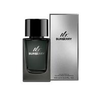 Burberry Mr. Burberry eau de parfum for men 100 ml