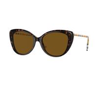 Burberry Woman BE4407 385483 Sunglasses Acetate Brown Brown Cat Eye Polarized