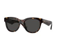 Burberry Woman Burberry BE4432U 300287 Sunglasses Acetate Brown Grey Pantos Normal