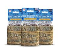 Burgess Excel Forage & Feast Mini Bale with Cornflower, 300g - Mini Hay Bale Treat for Rabbits & Guinea Pigs - Natural Snack Topped with Cornflower (Pack of 3)
