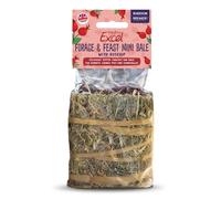 Burgess Excel Forage and Feast Mini Bale with Rosehip - 100g