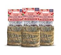 Burgess Excel Forage & Feast Mini Bale with Rosehip, 300g - Mini Hay Bale Treat for Rabbits & Guinea Pigs - Natural Snack Topped with Rosehip (Pack of 3)
