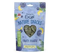 Burgess Excel Fruity Feasts Rabbit & Guinea Pig Treats - 360g - Rabbit & Guinea Pig Baked Treats Made with Banana & Blueberry - High Fibre, Small Animal Snacks (Pack of 6)
