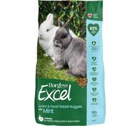 Burgess Excel Tasty Nuggets Junior and Dwarf Rabbit Food with Mint - 9kg