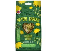 Burgess Excel Luscious Leaves 60G (Pack Of 6)