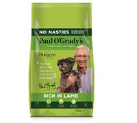 Burgess Paul O Grady Dog Lamb - 15KG