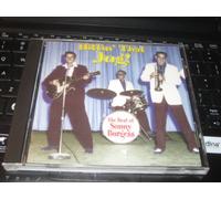 Burgess, Sonny - Hittin That Jug: Best of