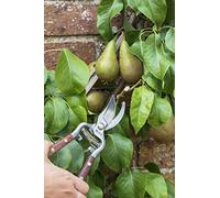 Burgon & Ball Estate Secateur, 22 cm Length
