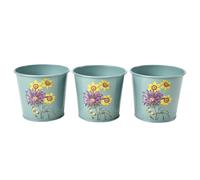 Burgon & Ball Herb Pots Kitchen Garden Indoor Plant Steel RHS Planter Windowsill