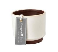 Burgon & Ball Malibu Succulent Planter Plant Pot, Cream
