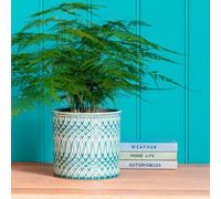 Burgon & Ball Morocco Glazed Pot