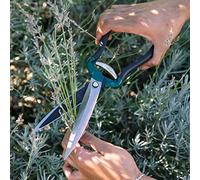 Burgon & Ball RHS Endorsed Shrub Shear, 30.5 cm Length