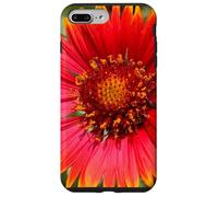 Burgundy Single Indian Blanket Flower - Gaillardia Aristata Case for iPhone 7 Plus/8 Plus