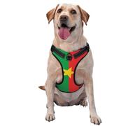 Burkina Faso Flag No Pull Dog Harness Adjustable Reflective Oxford Easy Control Medium Large Dog Harness