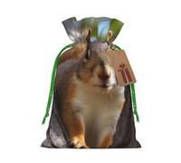 Burlap Santa Sack with Tags, Green Christmas Ribbon Holiday Gift Wrap Bag Reusable Drawstring Gift Bag Squirrel in The Tree Gift Wrapping Bags Personalized Christmas Sacks for Presents Medium