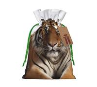 Burlap Santa Sack with Tags, Green Christmas Ribbon Holiday Gift Wrap Bag Reusable Drawstring Gift Bag Big Tiger Gift Wrapping Bags Personalized Christmas Sacks for Presents Small