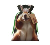 Burlap Santa Sack with Tags, Green Christmas Ribbon Holiday Gift Wrap Bag Reusable Drawstring Gift Bag Squirrel Funny Animal Gift Wrapping Bags Personalized Christmas Sacks for Presents Medium