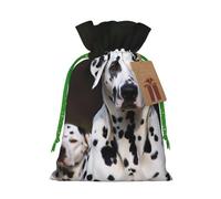 Burlap Santa Sack with Tags, Green Christmas Ribbon Holiday Gift Wrap Bag Reusable Drawstring Gift Bag Dalmatian Dog Gift Wrapping Bags Personalized Christmas Sacks for Presents Medium