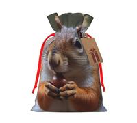 Burlap Santa Sack with Tags, Red Ribbon Holiday Gift Wrap Bag Reusable Drawstring Gift Bag Cute Squirrel Gift Wrapping Bags Personalized Christmas Sacks for Presents Small