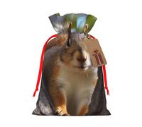 Burlap Santa Sack with Tags, Red Ribbon Holiday Gift Wrap Bag Reusable Drawstring Gift Bag Squirrel in The Tree Gift Wrapping Bags Personalized Christmas Sacks for Presents Medium