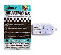 Burly Effects Hidden Noise Maker Gag Prank - 10 different Sounds - Ringtone, Dog, Cat, Cricket, Fart, Baby Cry, Smoke Alarm, Monkey, Screaming Goat, Bird (1 Pack)