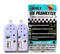 Burly Effects Hidden Noise Maker Gag Prank - 10 different Sounds - Ringtone, Dog, Cat, Cricket, Fart, Baby Cry, Smoke Alarm, Monkey, Screaming Goat, Bird (2 Pack)