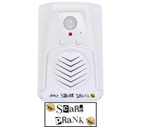 Burly Effects Scare Prank - Motion Activated Sound Player with Loud Speaker - Choose Over 30 Different Noises and add Your own Custom Sounds with USB Connection