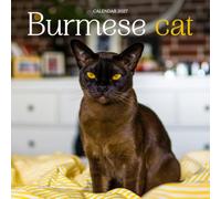 Burmese Cat Calendar 2027: Golden Eyes and Cozy Cat Days