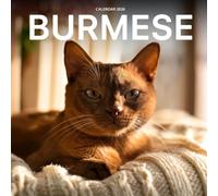Burmese Cats 2026 Calendar: Elegant Felines and Playful Companions