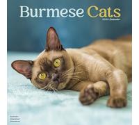 Burmese Cats 2026 Calendar | Square Wall Calendar | Cat Gift | Plastic Free Packaging | by Avonside Publishing