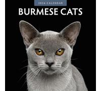 Burmese Cats - 2026 Square Wall Calendar - by Red Robin Publishing